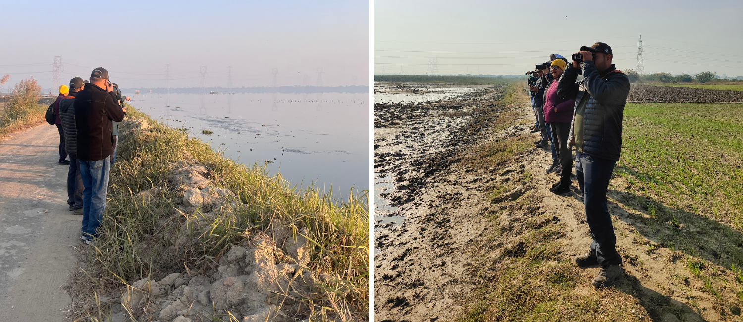 Delhi Earth Walks At Chandu Budhera