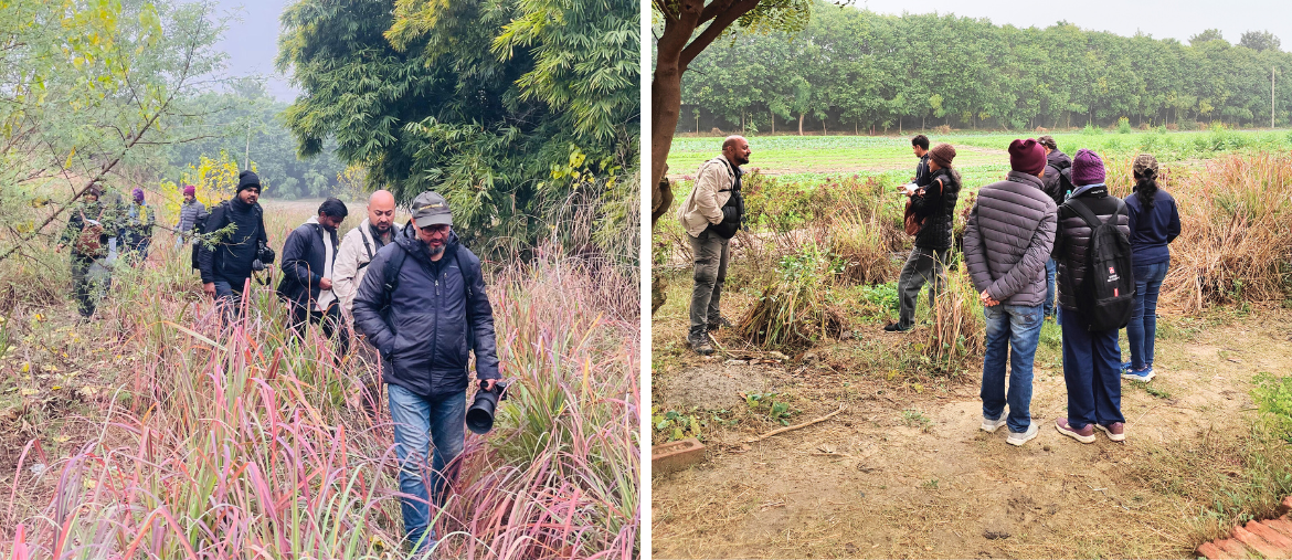 Delhi Earth Walks at Nehar Sahibi Farm