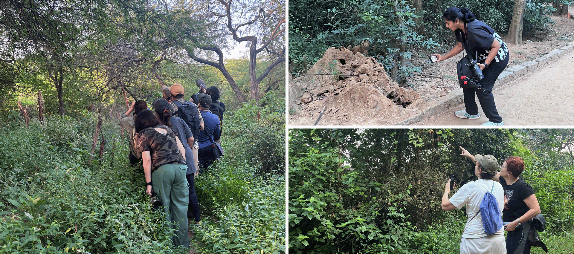 Nature Walks At Sanjay Van