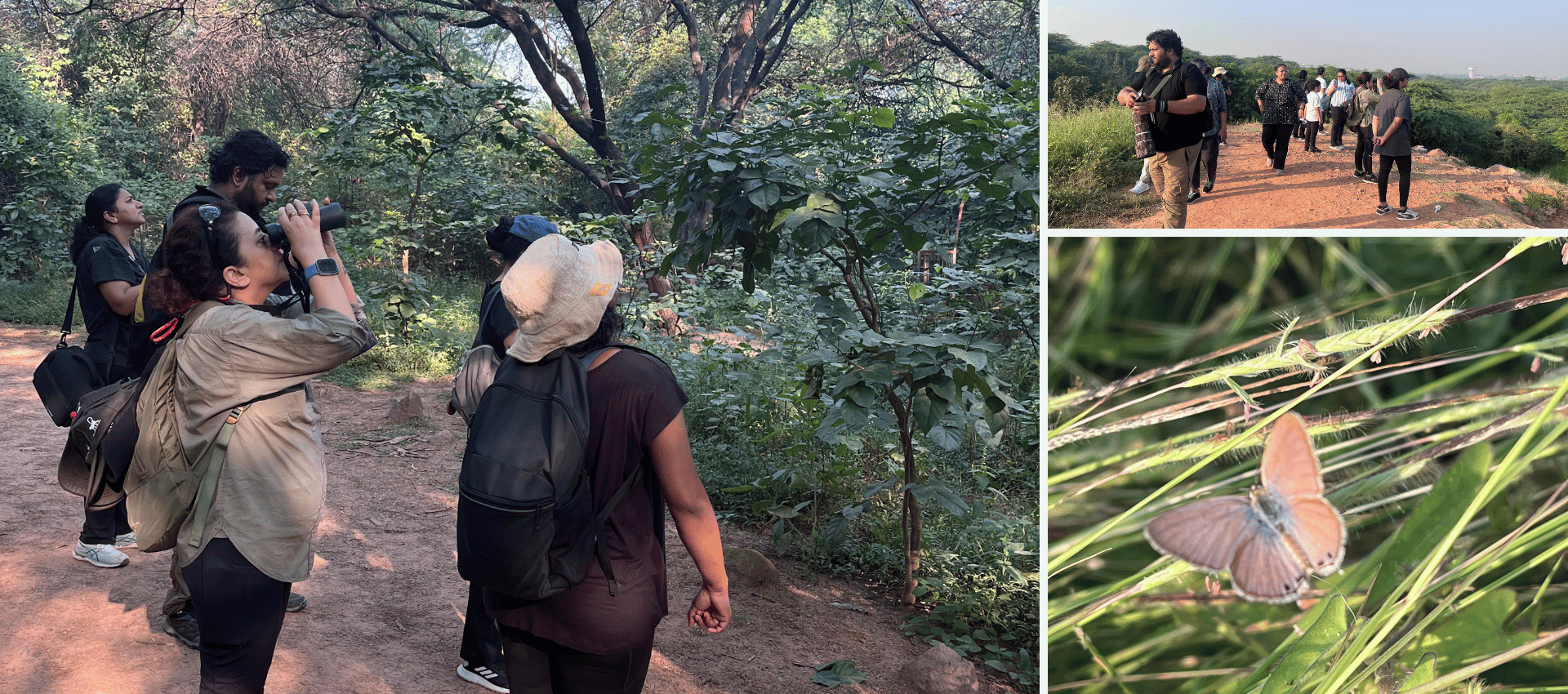 Nature Walks At Sanjay Van