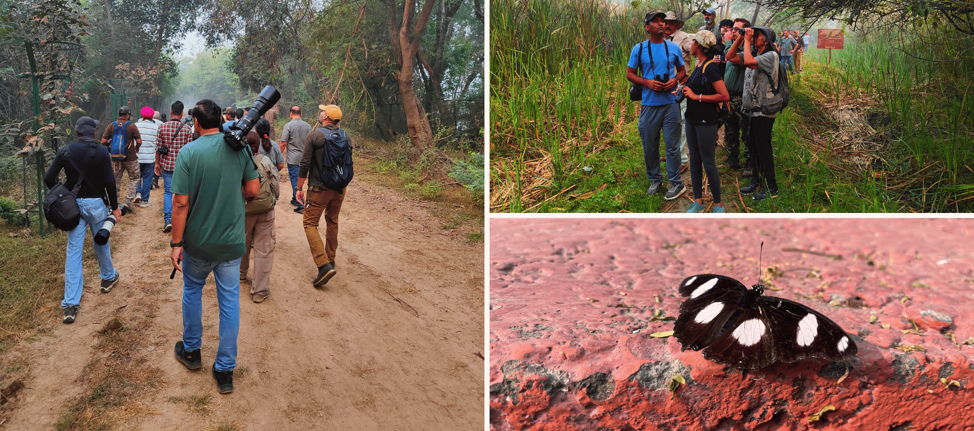 Delhi Earth Walks