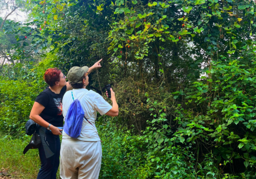 Nature Walks At Sanjay Van