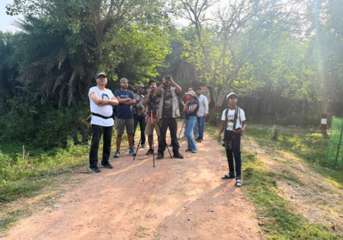 Surajpur wetland