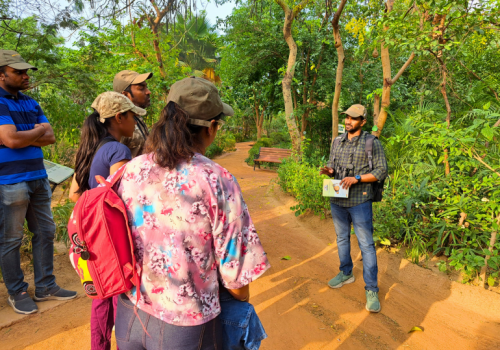 Delhi Earth Walk