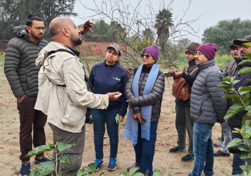 Delhi Earth Walks