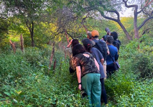 Nature Walk At Sanjay Van