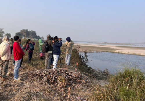 Yamuna A River in Danger