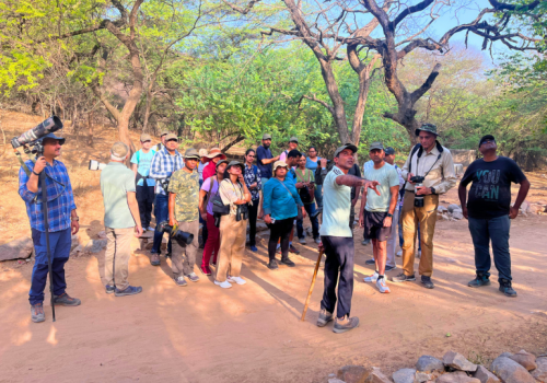 Full Day Birding In Mangar Bani