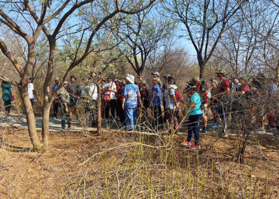 Aravalli Biodiversity Park