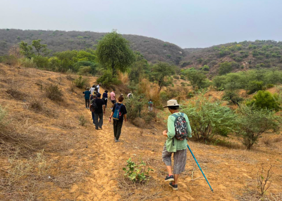 Bhondsi Nature Park