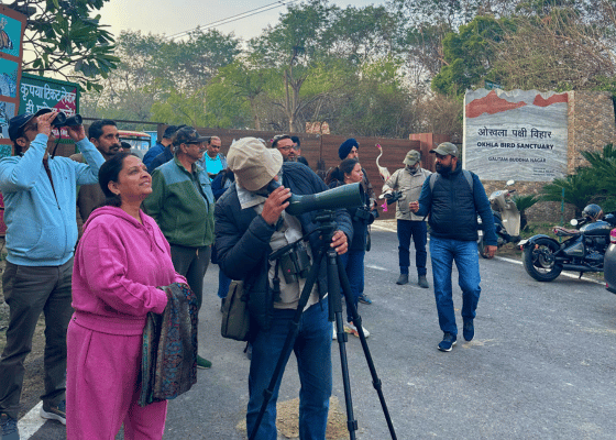 Bird Watchin Near Delhi