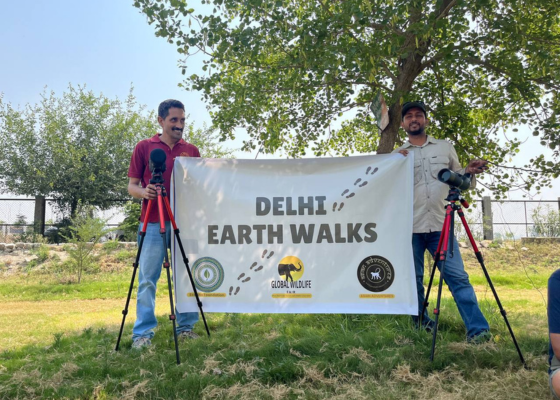 Delhi Earth Walks