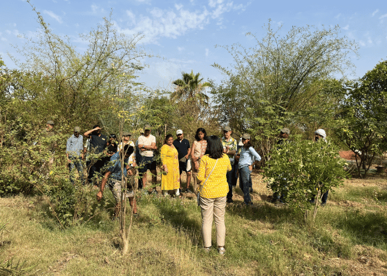 Earth Walks In Nehar Sahibi Farm