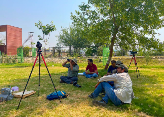 Surajpur Bird Watching