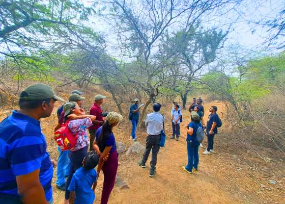 butterfly park asola delhi