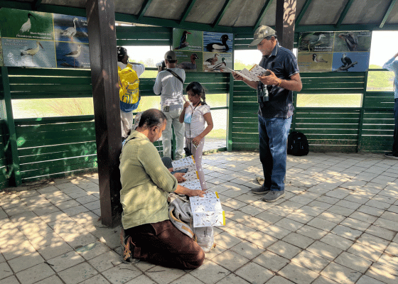 Birding In Sultanpur National Park