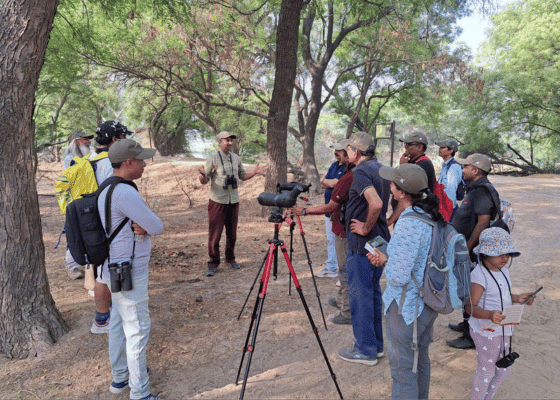 Birding In Sultanpur