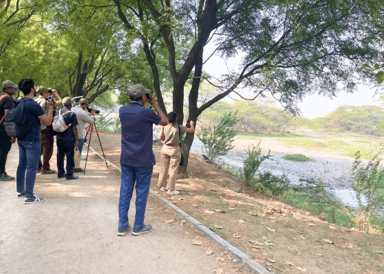 Birding in delhi