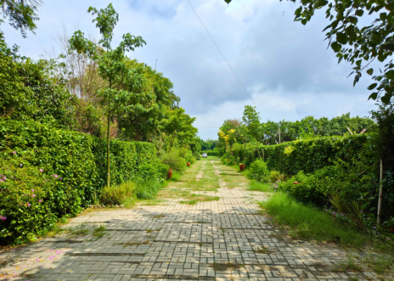 Butterfly Watching At Nehar Sahibi