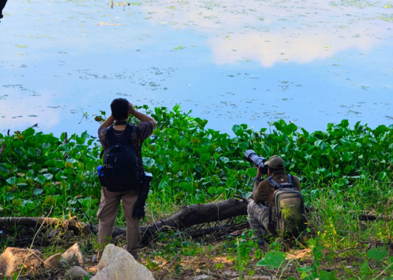 Birding In Okhla