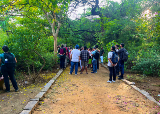 Nature Walks In Sanjay Van