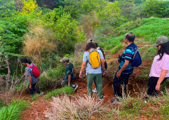 Nature Walks In Sanjay Van