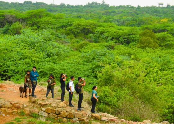 Nature Walks In Sanjay Van