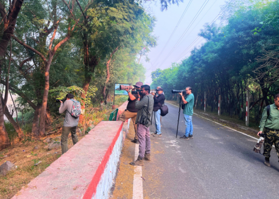 Birds Of Okhla