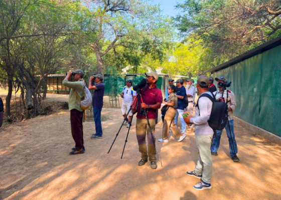 Earth Walks In Sultanpur National Park