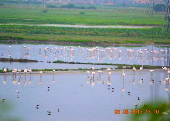 Najafgarh Lake Delhi