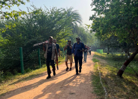 Surajpur wetland