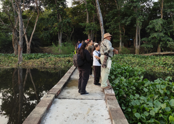 Surajpur wetland