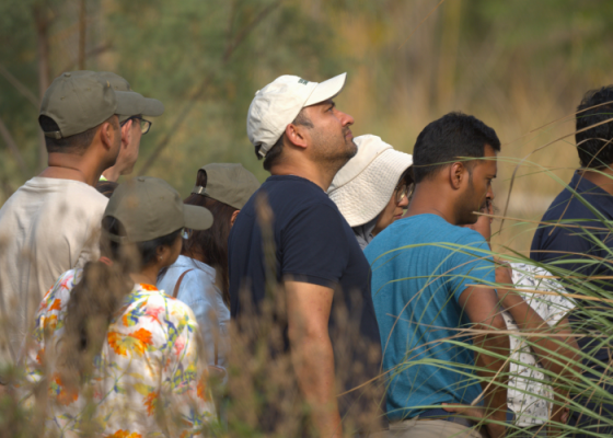 Birdwatching walks at nehar sahibi farm