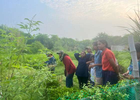 Nehar Sahibi Farm