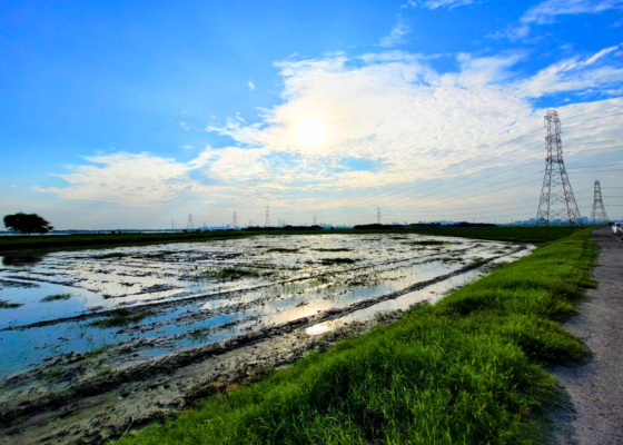 birding in chandu budhera