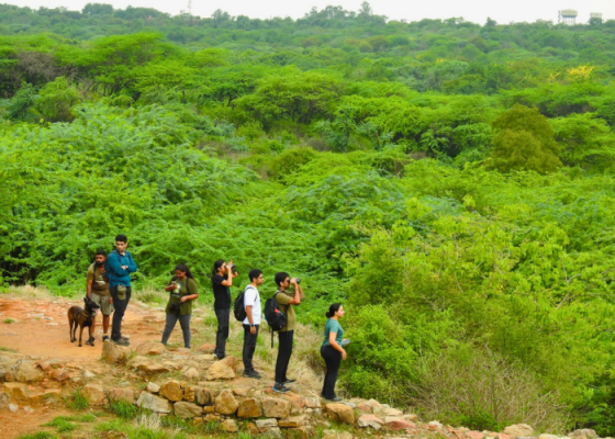 Day Trip To Sanjay Van