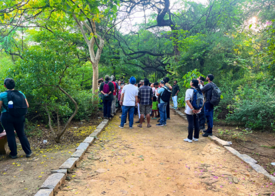 Delhi Earth At Sanjay Van