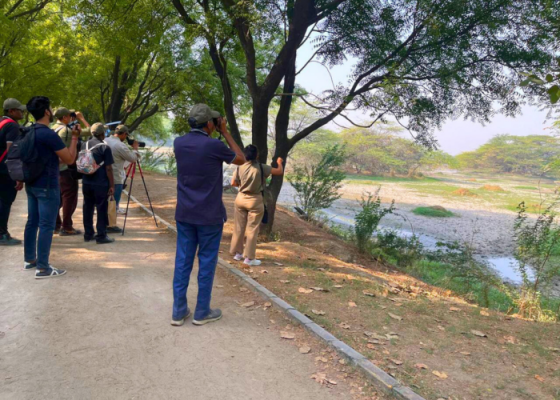 Delhi Earth Walks At Sultanpur National Park