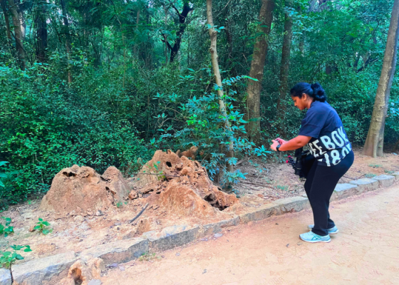 Earth Walks At Sanjay Van