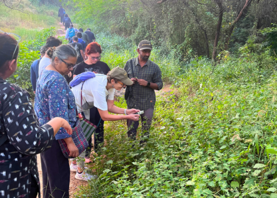 Day Trip To Sanjay Van