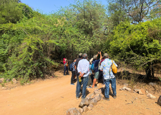 Birding In Mangar bani