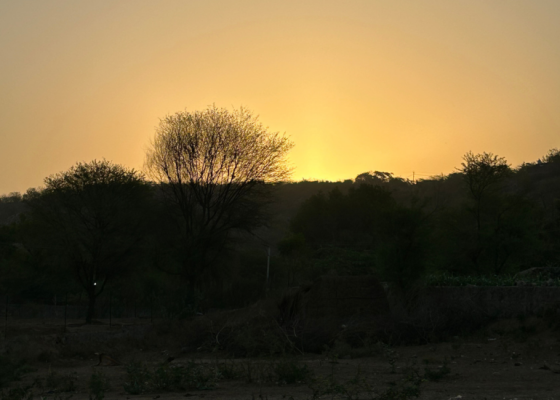 Mangar Bani Birding